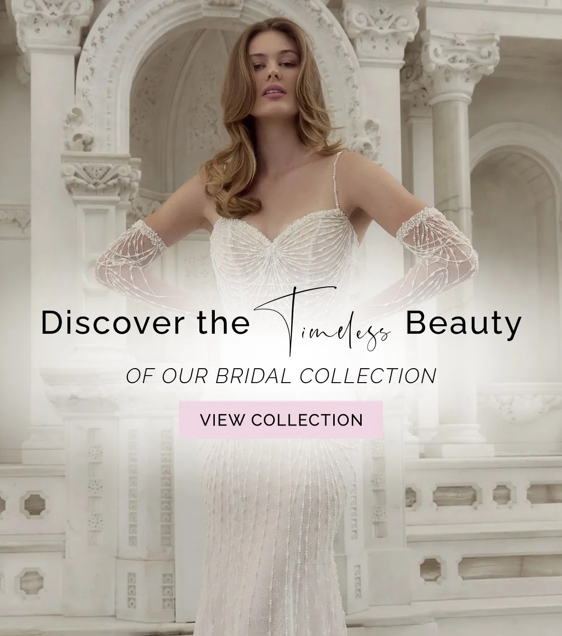 Unveil the Timeless Beauty at Savvy Bride Mobile